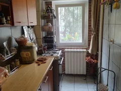 Colentina Rau, Mc Donalds, Mr. Bacila, parc Plumbuita, semistradal